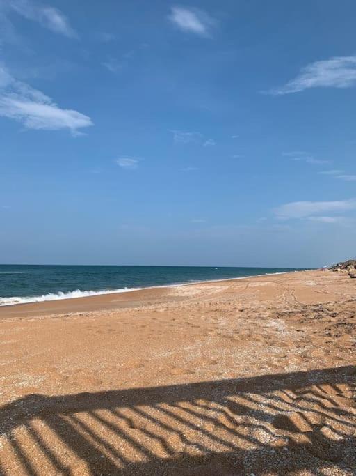Ormond Beach, Fun & Loving Sun! Exterior photo